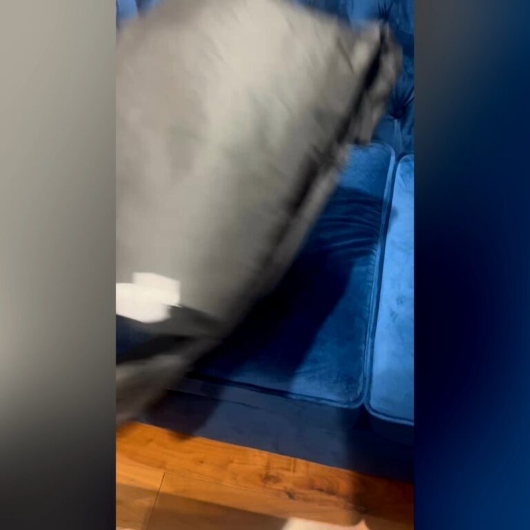 Instagram post from mouthcancer. This post is in position 1.