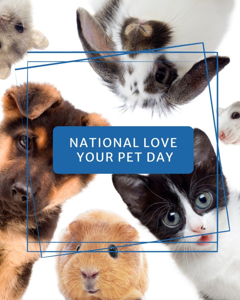 Instagram post from mouthcancer. This post is in position 2.